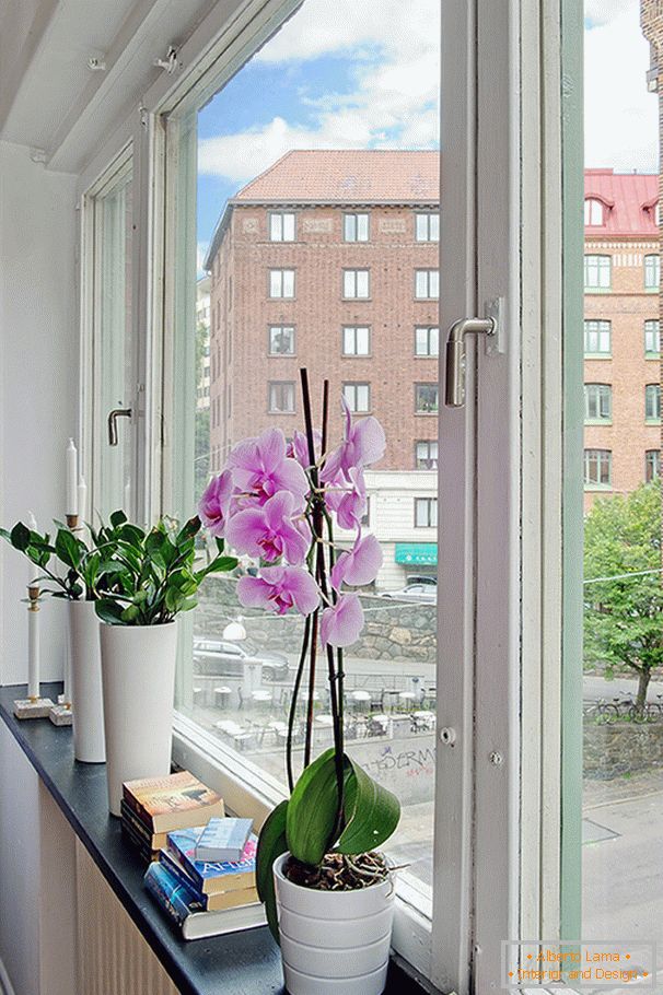 Blumen auf dem Fensterbrett