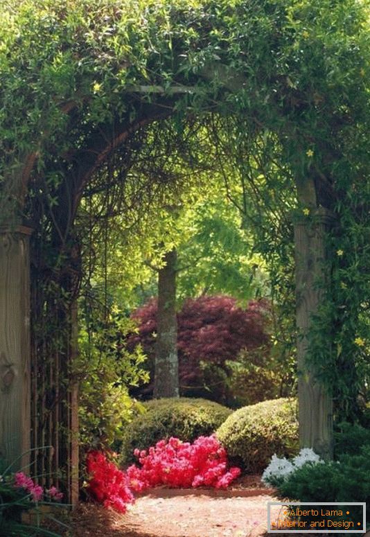 Arch mit Pflanzen im Garten Design
