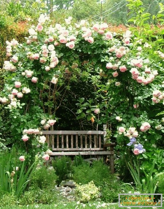 Ein abgelegener Ort zum Entspannen im Garten