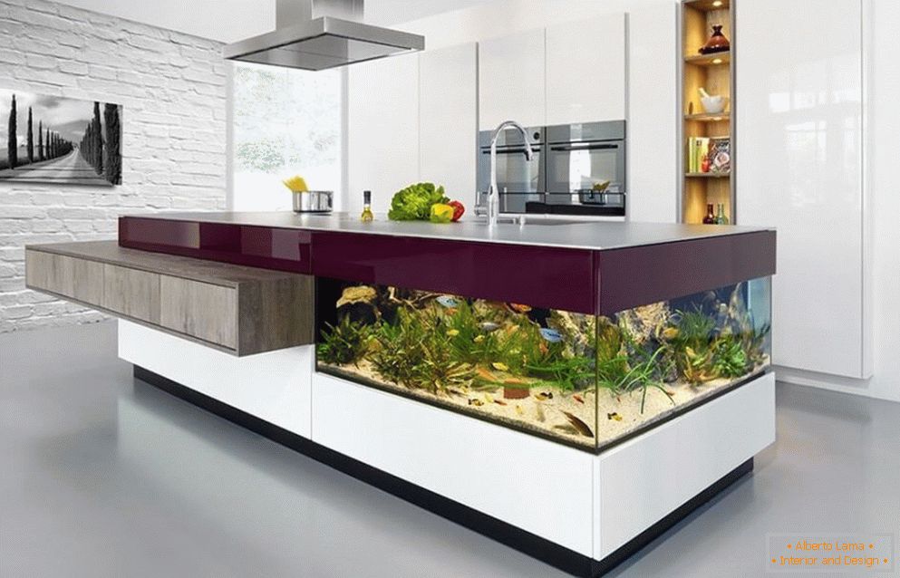 Tisch-Aquarium in der Küche