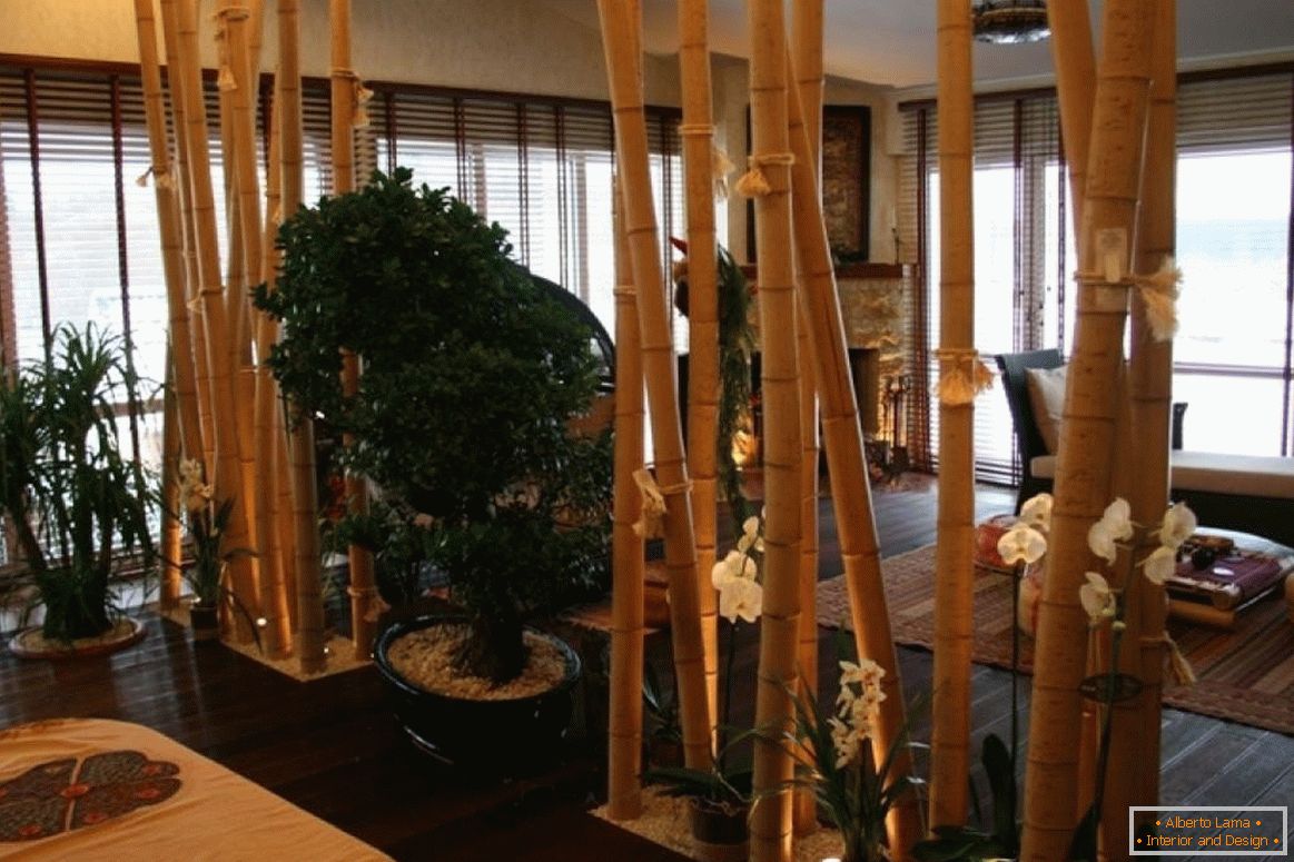 Bambus Partition