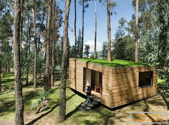Kleines Haus im Wald mit Moosdach