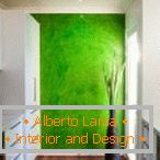 Grüne Wand im weißen Kücheninnenraum