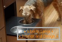 Entwurf für Haustiere: machen Sie einen Platz aus, um einen Hund zu essen