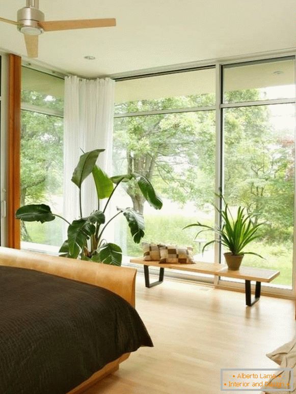 Große Fenster und Topfpflanzen im Schlafzimmer