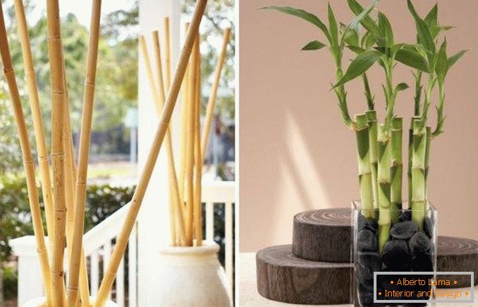 Bambus als Dekoration