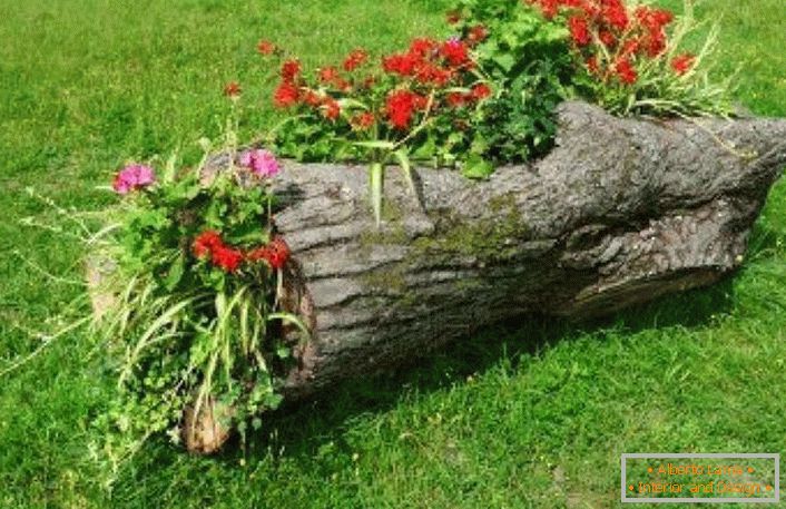 Von dem Teil des gefällten Baumes machte der Sommermann ein Plüschbett für seinen Garten.