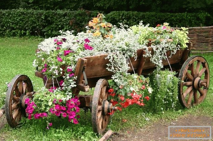 Als Utensilien für die Gestaltung eines Blumenbeets wurde ein alter, restaurierter Wagen verwendet. Eine interessante Lösung für die Einrichtung des Landhaushofes. 
