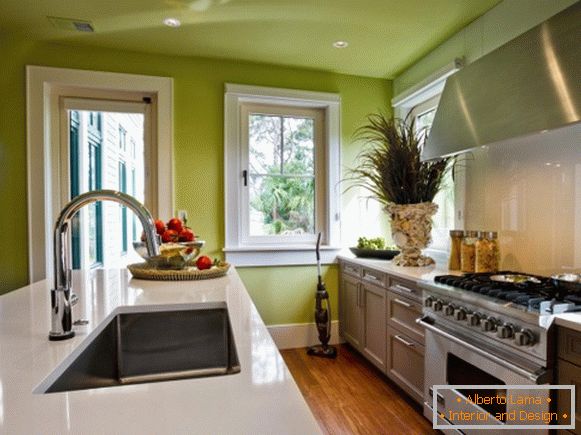 Küchendesign mit grünen Wänden und Decke