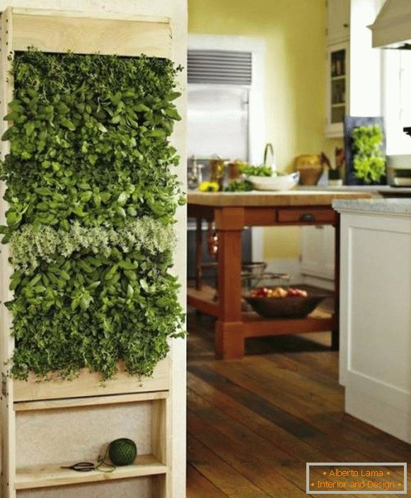 Grünpflanzen in der Küche