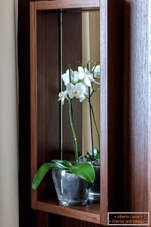 Orchidee in der Küche mit dem Effekt der optischen Täuschung