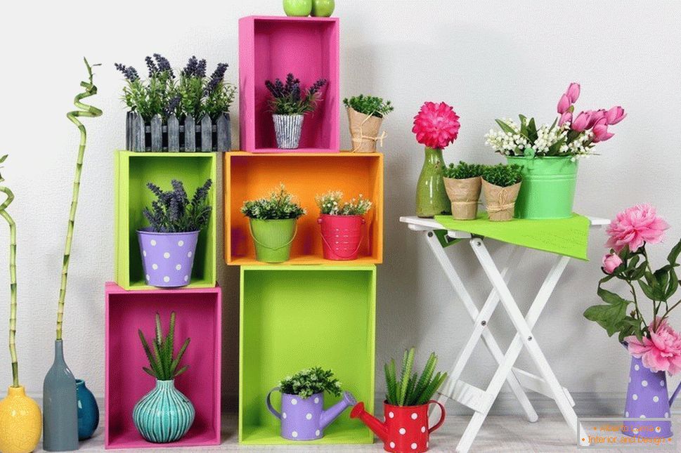 Vasen für Kinder mit würzigen Pflanzen