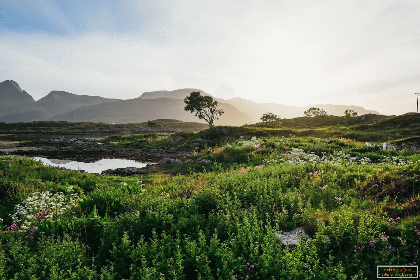 Saftige Landschaft von Norwegen-Feldern