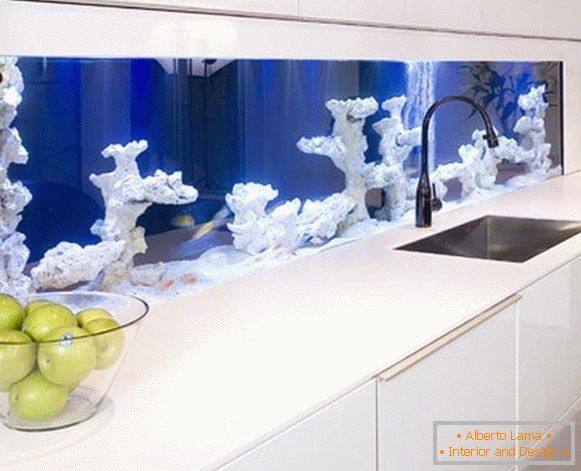 Ein Aquarium mit Korallen in der Küche