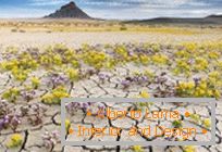 Wüsten in Utah, explodierte in Farben