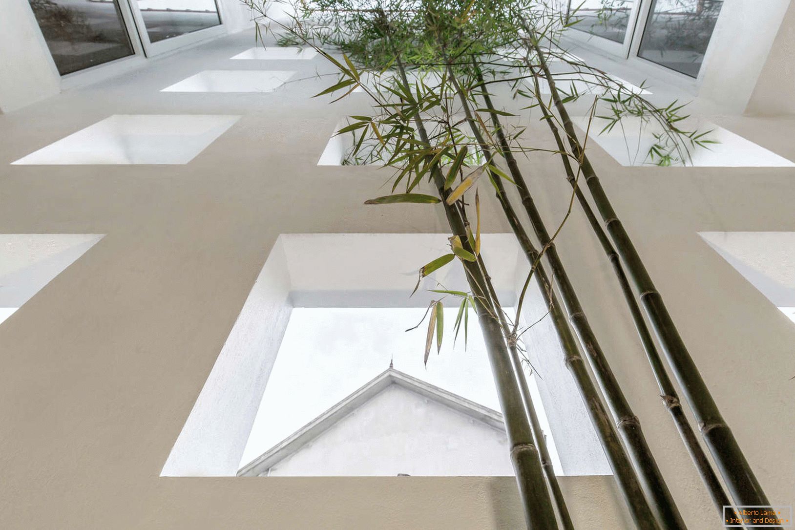Bambus in einem schmalen Betonhaus