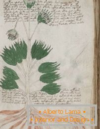 Mysteriöses Manuskript von Voynich