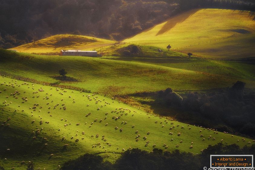 Landschaften von Neuseeland Dylan Toh