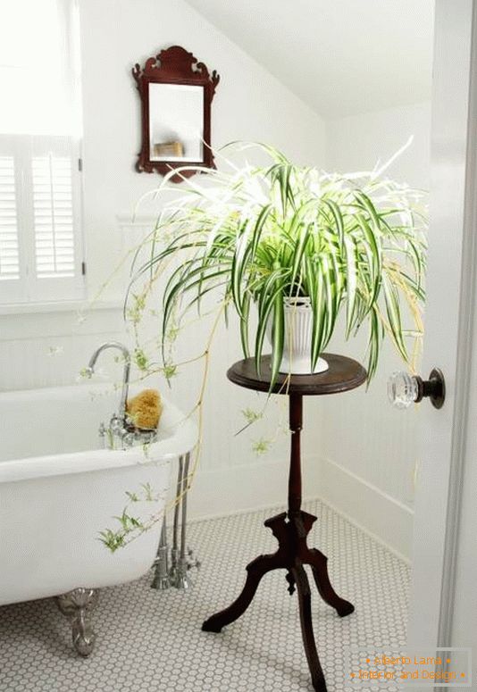 Badezimmerdekoration mit Zimmerpflanzen
