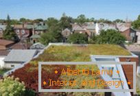 30 удивительных идей для оформления Garten auf dem Dach