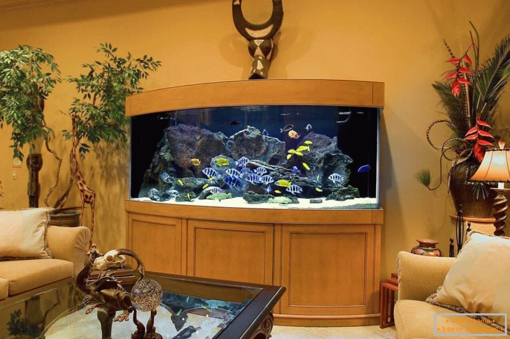 Schönes Aquarium в гостиной
