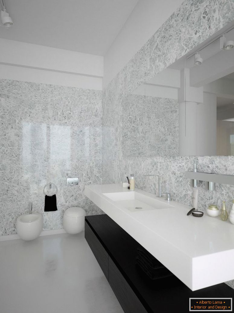 black-white-contemporary-Badroom-design