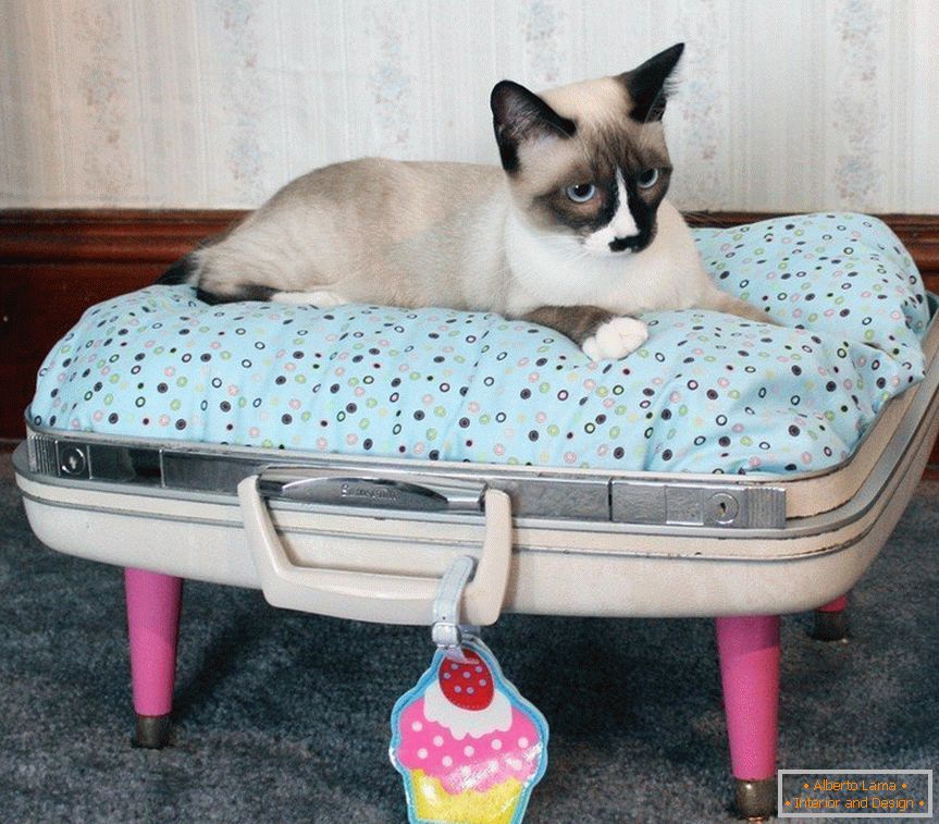 Haustierbett für Haustiere aus einem Koffer