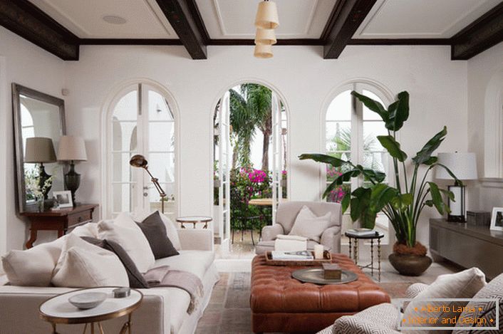Комната для гостей оформлена в средиземноморском стиле. Eine elegante Inneneinrichtung ist eine große, weitläufige grüne Pflanze, die in einem Keramiktopf gepflanzt ist.