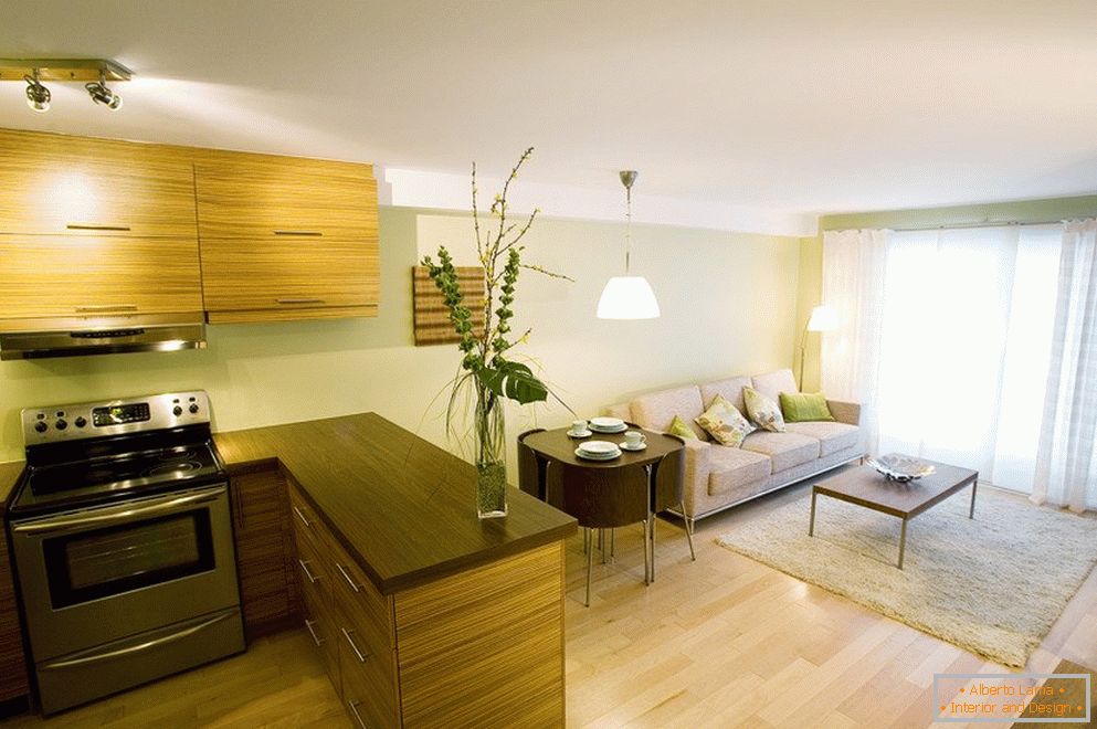 Küche-Wohnzimmer-Design 19 кв м