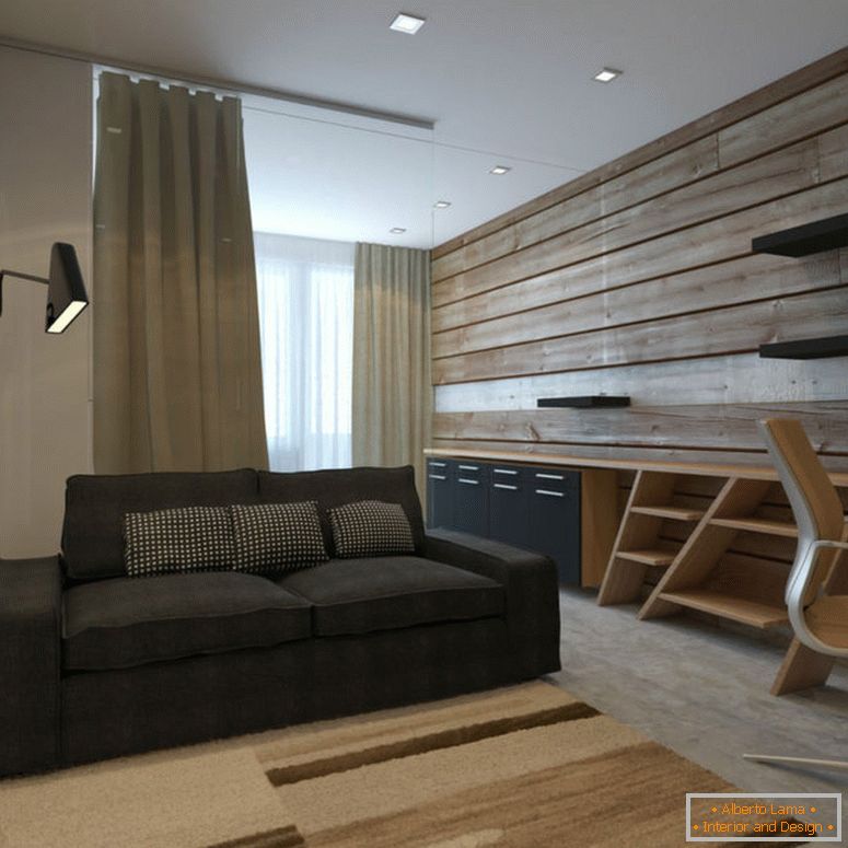 Design-Studio-Wohnung-33-sq-mch