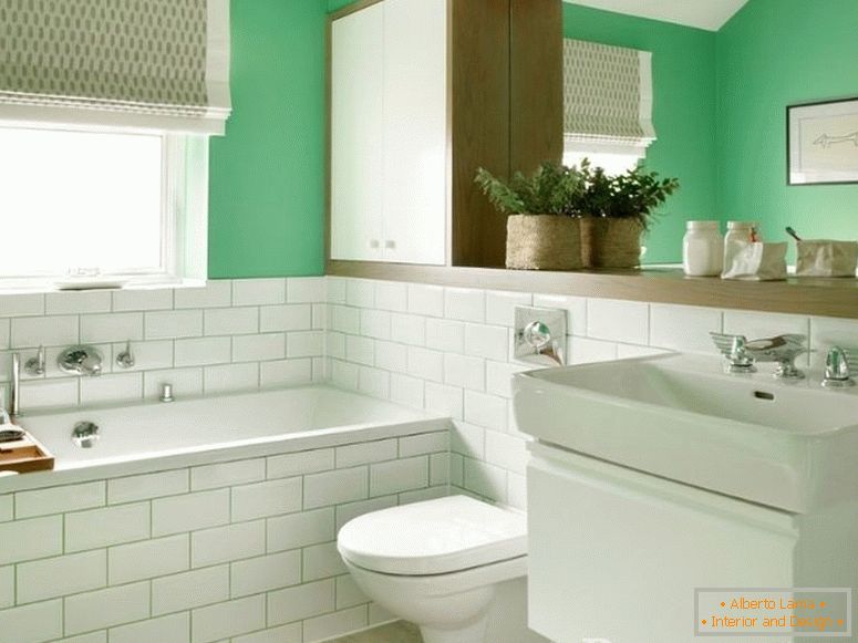 Weiß-grünes kombiniertes Badezimmer