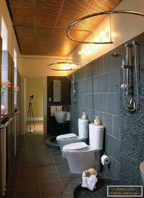 Design von Badezimmern, kombiniert mit einer Toilette Foto, Foto 19