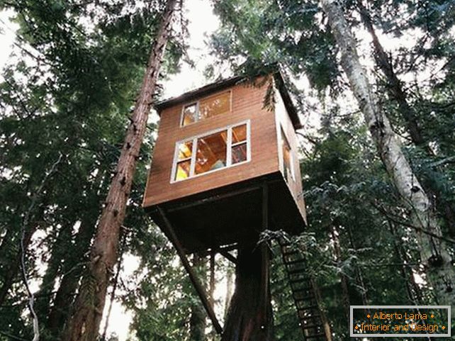 Ein Haus auf einem Baum mit einer Leiter. Gesamtansicht