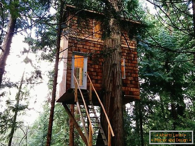 Ein Haus auf einem Baum mit einer Leiter. Foto 1