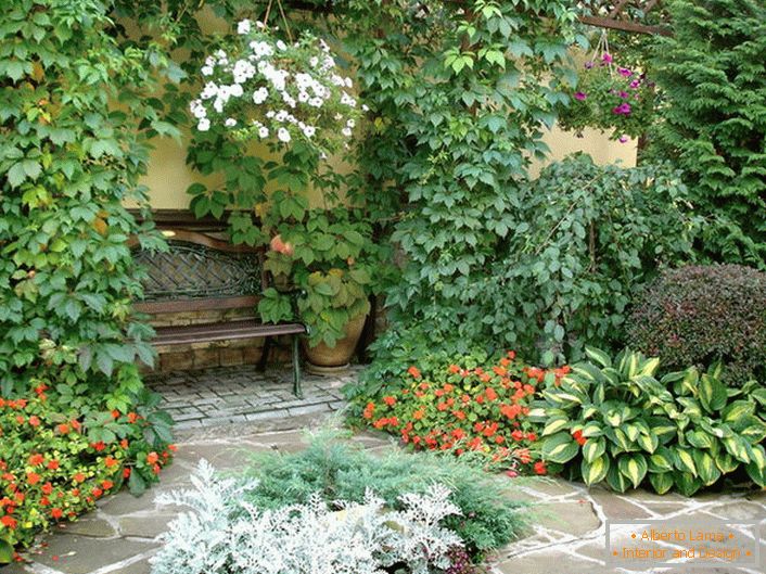 Die Vielfalt der Pflanzenwelt im Innenhof weist auf einen mediterranen Stil hin. Blühende Pflanzen, lockige Wildtrauben machen die Atmosphäre romantisch.