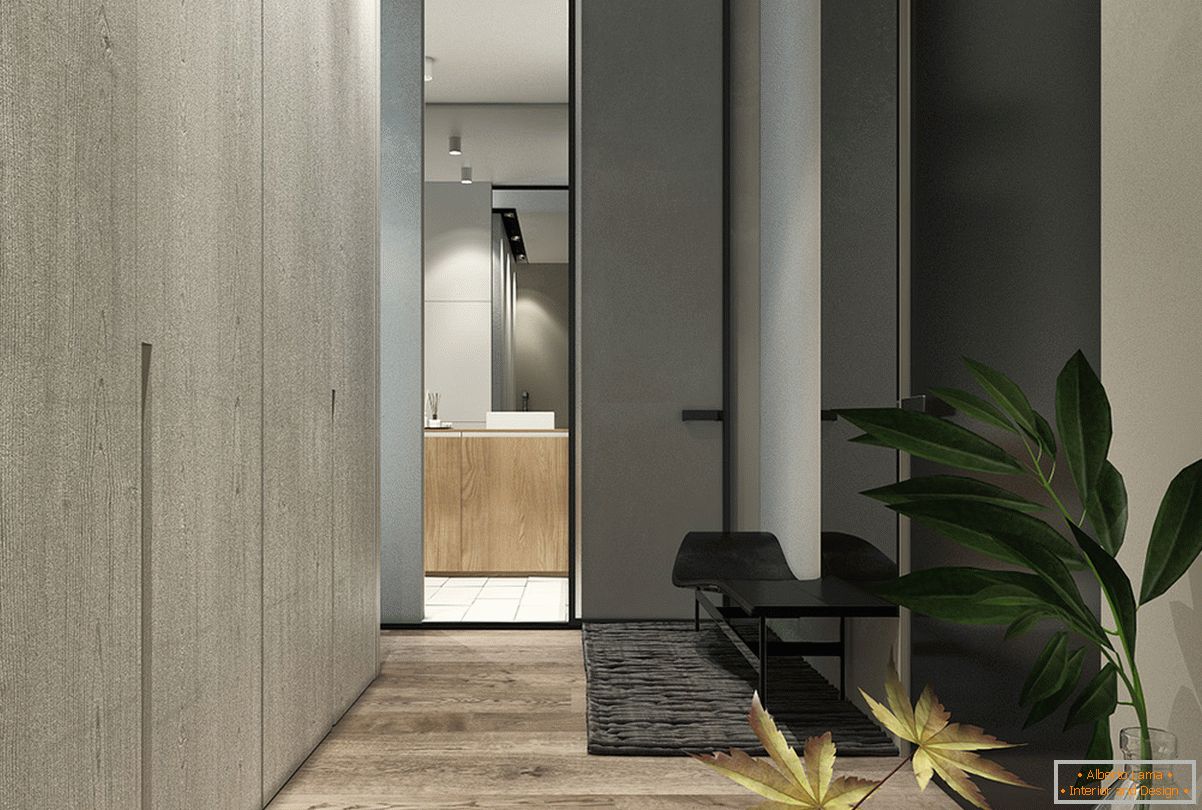 Entwurf eines Korridors für eine kleine Wohnung im skandinavischen Stil - Foto 2