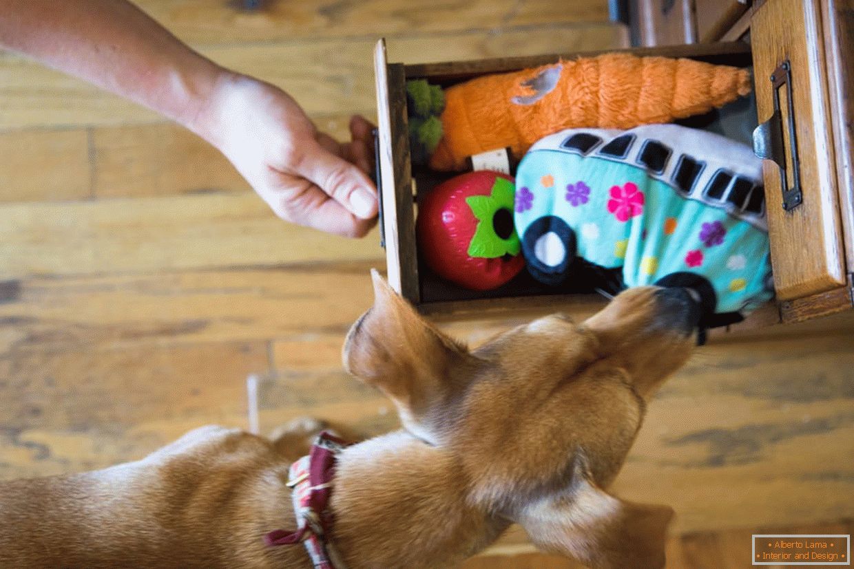 Box mit Spielzeug für Hunde