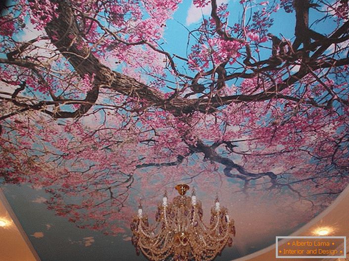 Blühende Kirschblüten werden oft von modernen Designern verwendet, um Decken zu dekorieren. Die tatsächliche Lösung für die Registrierung eines Gästezimmers oder einer Halle.