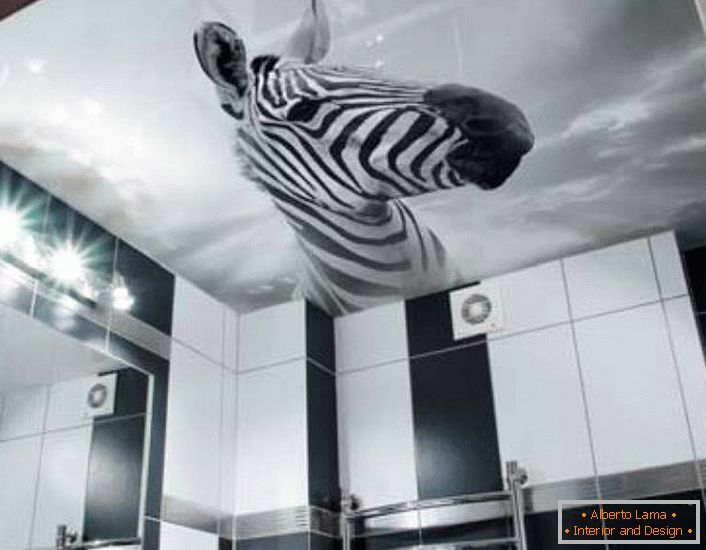 Eine ungewöhnliche Lösung für die Dekoration eines schwarzen und weißen Badezimmers ist das Bild eines Zebras an Spanndecken mit Fotodruck.