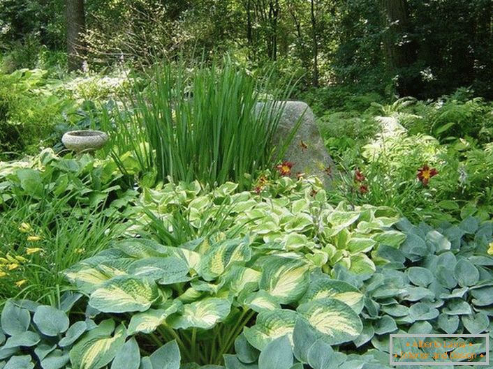 Schattiger Teil des Gartens mit einer kompetenten Auswahl an Sträuchern, wird mit einer saftig grünen Insel und ruhigen Farben der Blumen gefallen.