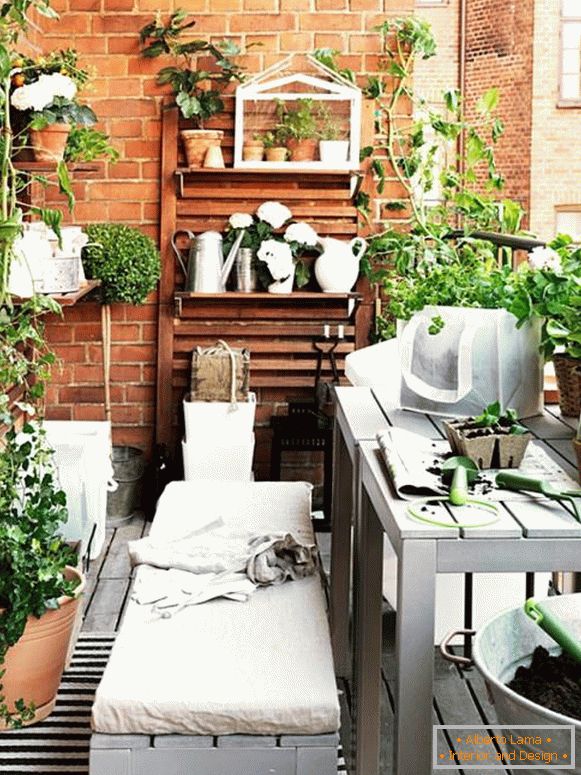 Balkon mit Zimmerpflanzen