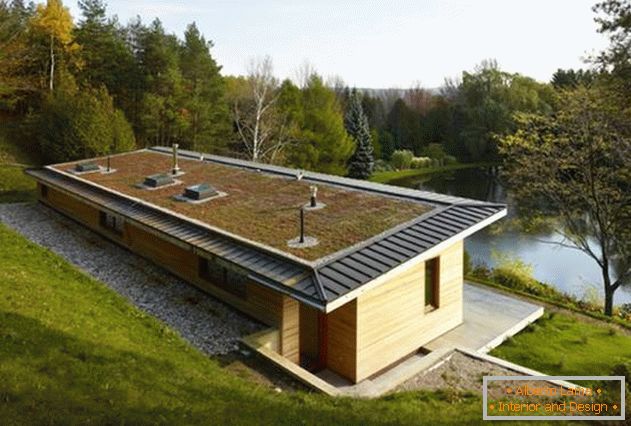 Ein kleines Designerhaus. Rasen auf dem Dach