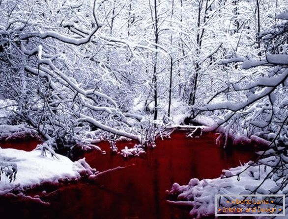 Blutroter See in Kanada