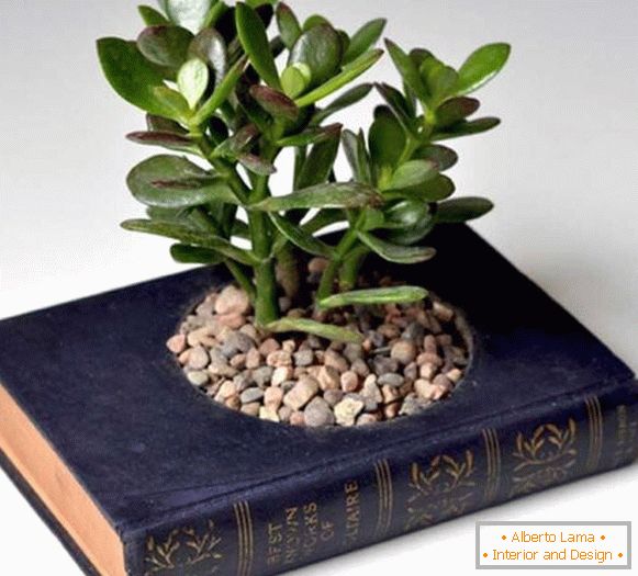 Topf mit Pflanzen aus dem Buch