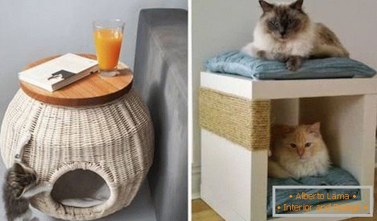 Ein Platz für eine Katze in einer Wohnung