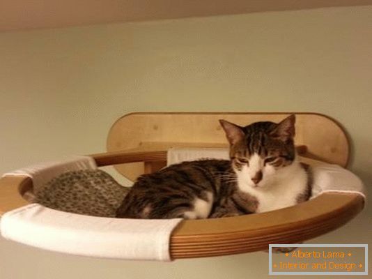 Suspended Regal in der Rolle eines Bettes für eine Katze