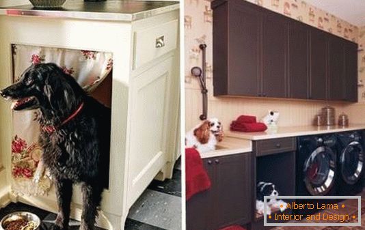 Platz für den Hund im Küchenschrank