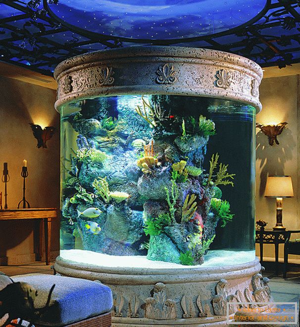 Rundes Aquarium im Wohnzimmer