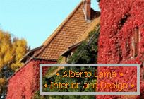 Landschaften: Malerische Herbst wilde Trauben