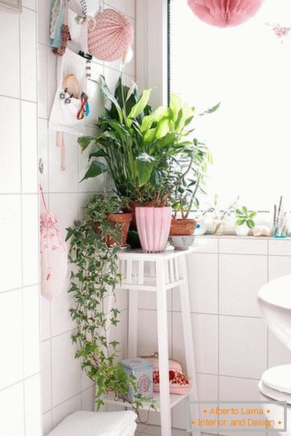 Pflanzen in der Ecke des Badezimmers